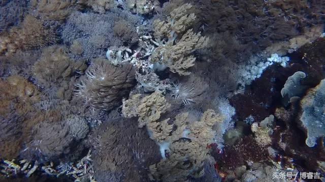 体验过你从未体验过的情感,体验你没体验过的人生