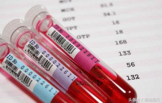 宠物医生科普狗狗,宠物医院给狗狗检查哪些