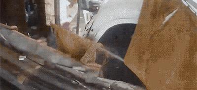 今日GIF「20期」：联合国确认1992年生的人已经步入中年