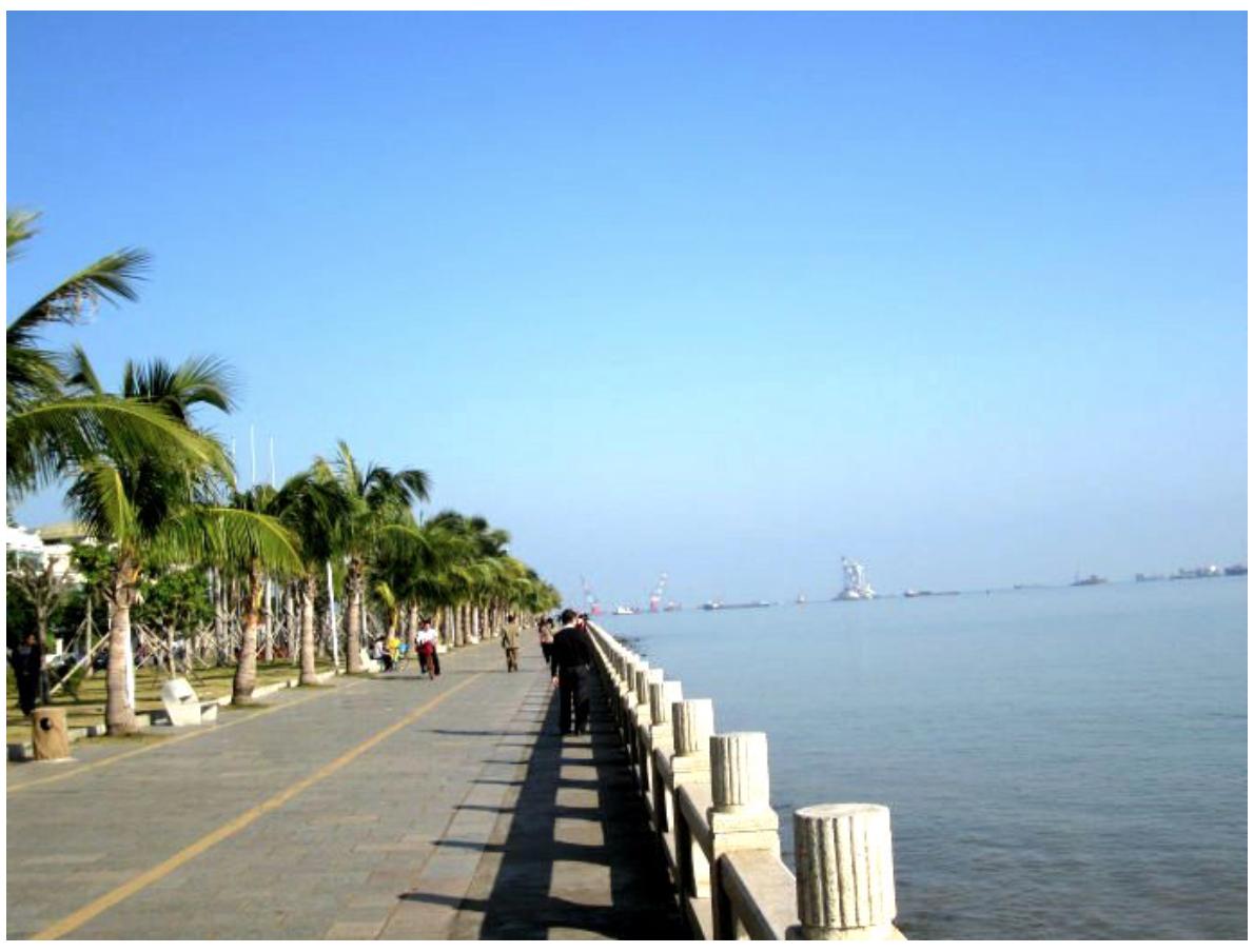 珠海横琴网红十大景点免费,珠海免费赏花景点