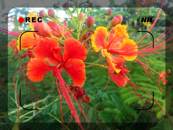 老海骑行海南,骑行海南与星辰大海相遇