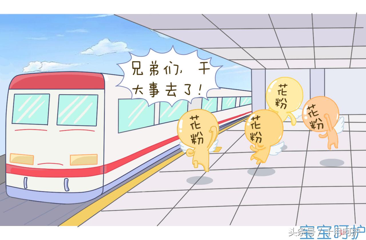 小孩食物过敏引起皮肤红疹怎么办,原来这些才是春季花粉过敏的元凶