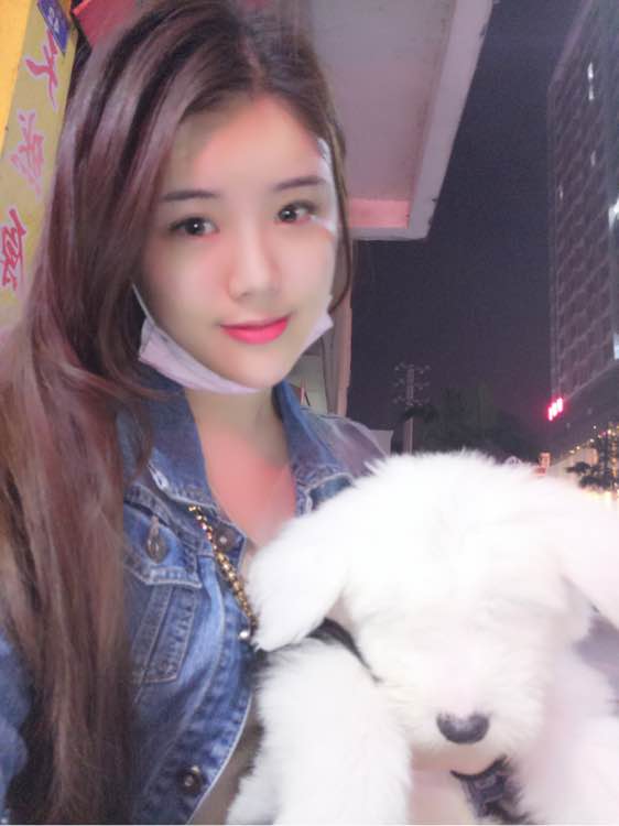 去狗市，1300元买下这只未满两月的古牧，我们的噩梦就开始了