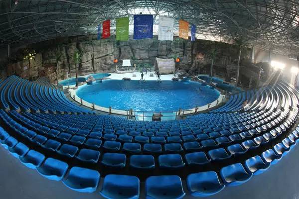 杭州极地海洋游玩图,杭州极地海洋世界旅游攻略