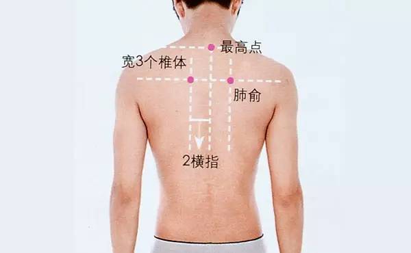 张学友也受鼻炎困扰,到底还有什么好办法?为什么不试这个!