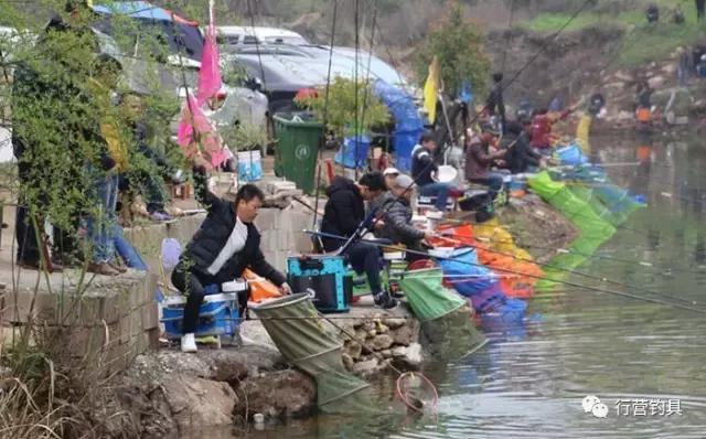 湖南钓鱼比赛湘窖杯冠军,2019ccf湖南站钓鱼比赛