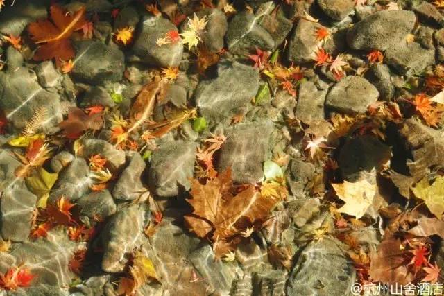 杭州旅游攻略酒店住宿三天两晚,杭州旅游攻略住宿排名