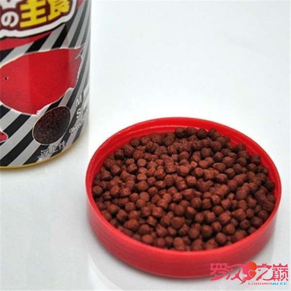 罗汉和地图混养条件,几种罗汉饲料混合喂