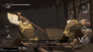 我的《仁王》白金了，精彩的游戏但缺憾巨大！