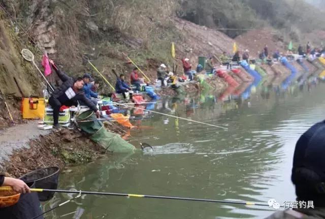 慈利县钓鱼比赛,湖南钓鱼比赛湘窖杯冠军