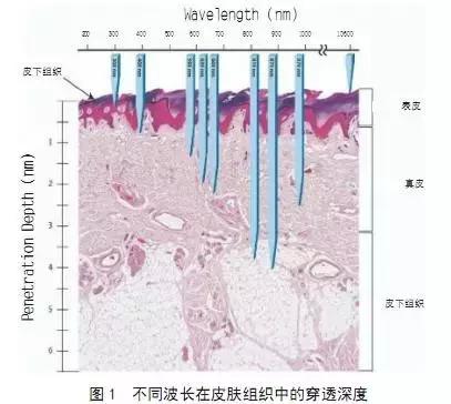 开什么玩笑合适,灯光真的可以美容吗