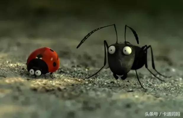 昆虫的微观小世界,微观世界每只昆虫都有它的故事