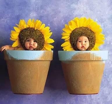 试管婴儿移植后会出现什么现象,试管婴儿移植成功率