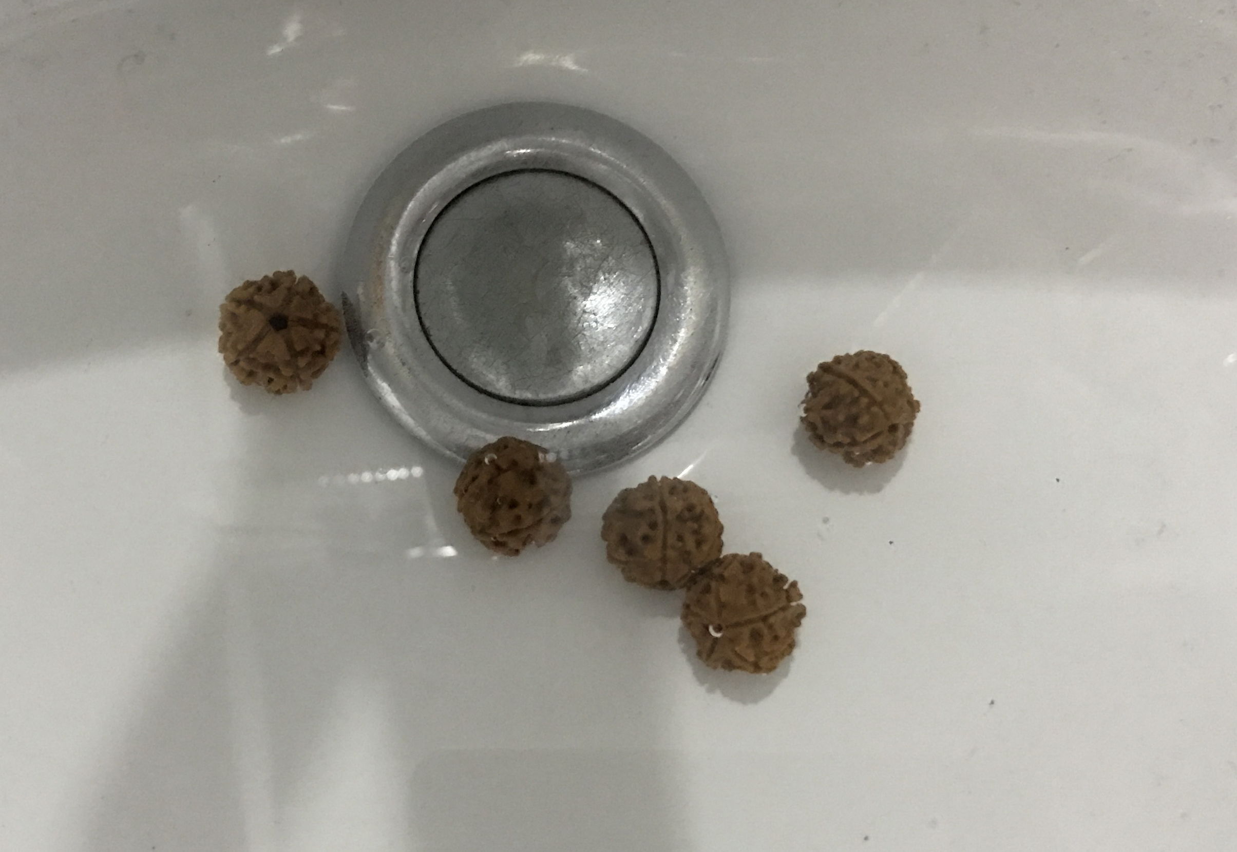 顽主解说,顽主文玩视频