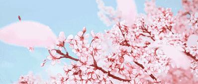 穿好一件小西装，搞定休闲、到职场！顺道解决棕色疑题