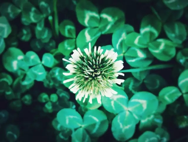 <html>
<head><title>502BadGateway</title></head>
<body>
<center><h1>502BadGateway</h1></center>
<hr><center>nginx</center>
</body>
</html>
<!--apaddingtodisableMSIEandChromefriendlyerrorpage-->
<!--apaddingtodisableMSIEandChromefriendlyerrorpage-->
<!--apaddingtodisableMSIEandChromefriendlyerrorpage-->
<!--apaddingtodisableMSIEandChromefriendlyerrorpage-->
<!--apaddingtodisableMSIEandChromefriendlyerrorpage-->
<!--apaddingtodisableMSIEandChromefriendlyerrorpage-->
