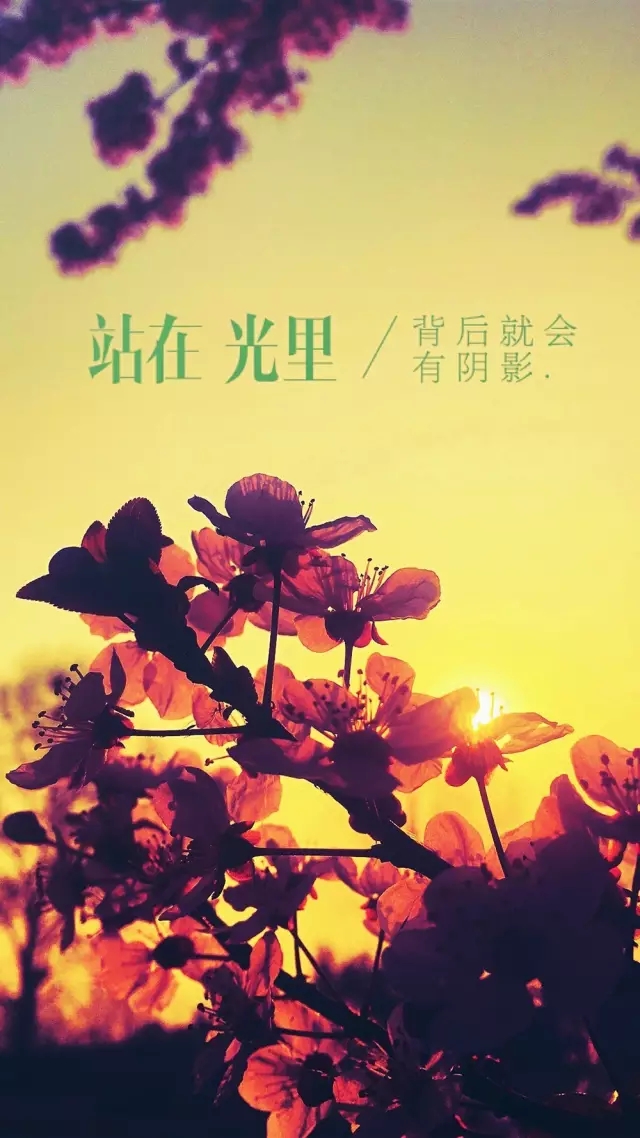 <html>
<head><title>502BadGateway</title></head>
<body>
<center><h1>502BadGateway</h1></center>
<hr><center>nginx</center>
</body>
</html>
<!--apaddingtodisableMSIEandChromefriendlyerrorpage-->
<!--apaddingtodisableMSIEandChromefriendlyerrorpage-->
<!--apaddingtodisableMSIEandChromefriendlyerrorpage-->
<!--apaddingtodisableMSIEandChromefriendlyerrorpage-->
<!--apaddingtodisableMSIEandChromefriendlyerrorpage-->
<!--apaddingtodisableMSIEandChromefriendlyerrorpage-->
