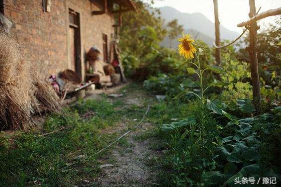 一间农村厕所，咋就能吓走一批城市娃？