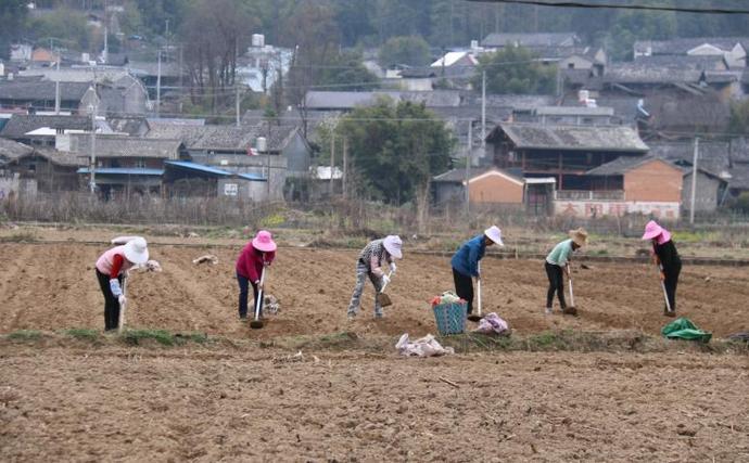 乡土腾冲：小伙伴还记得挑着担子卖糖人的老倌么