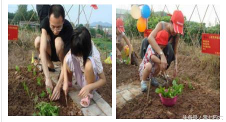 永州现真人开心农场-你还让人偷菜吗？