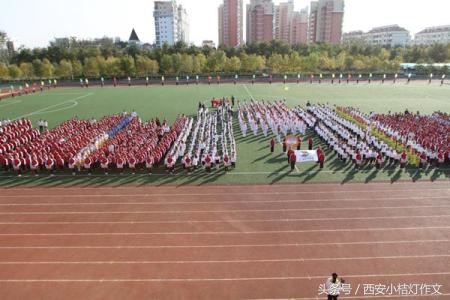 小学作文关于运动会写作技巧,运动比赛作文范文