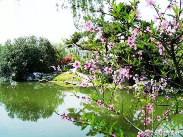 南京免费公园免费开放日一览表,南京最大的公园排名