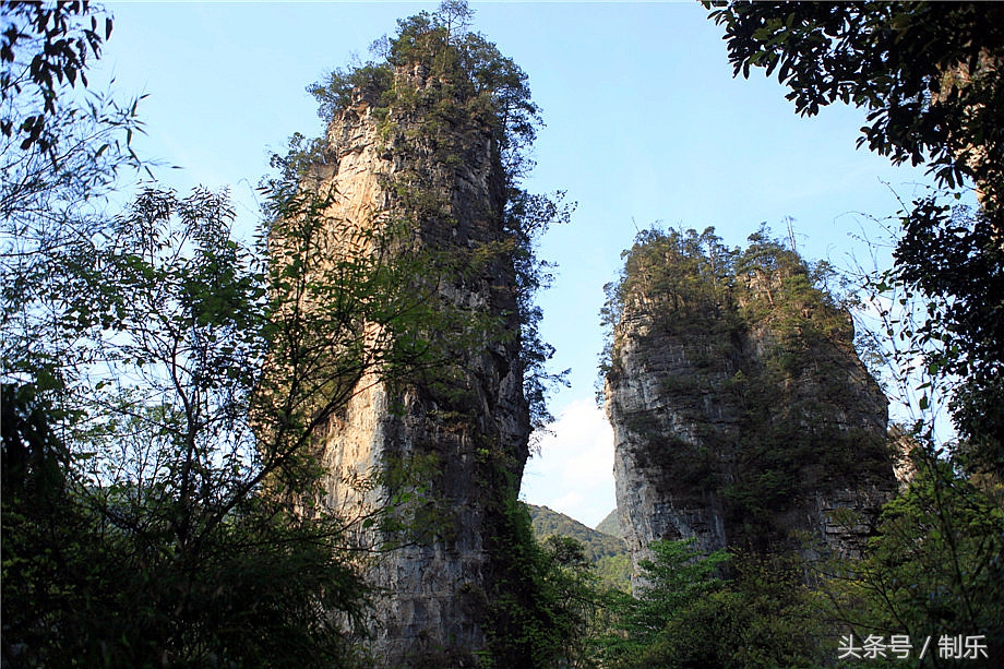 降术由来,降木术出自哪个国家