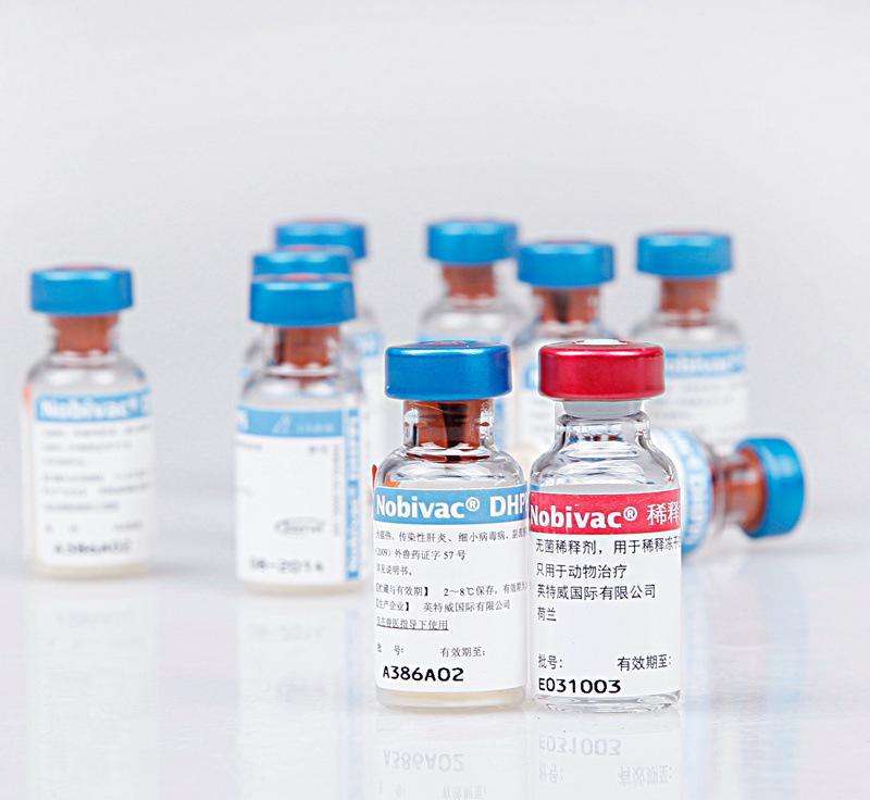 仿制药主要利好中国医药,利好中国医药