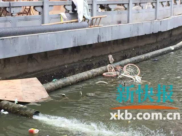 300辆共享电单车亮相,共享单车共投放3000辆