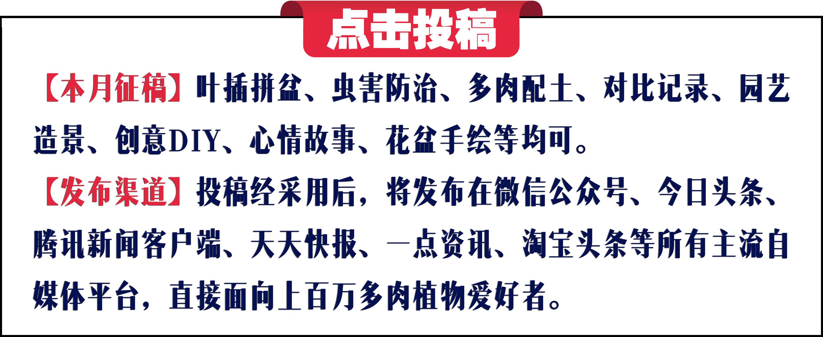 有多热爱多肉的感言,今天你爱国了吗黑板报资料