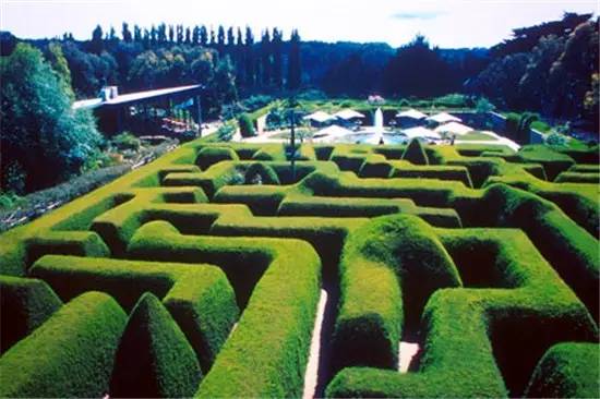 宁波好玩的迷宫,动心吗