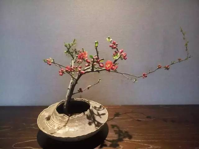 华清宫御汤酒店温泉,高端温泉汤泉酒店