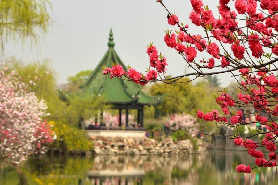 「诗词原创」闫鹏｜我辈当书胜绩激流犹待扬帆