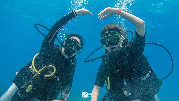 每当海岛又下起了雨,每当海岛又下起了雨读书笔记
