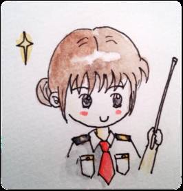 进口块根多肉植物,进口多肉植物哪里进货