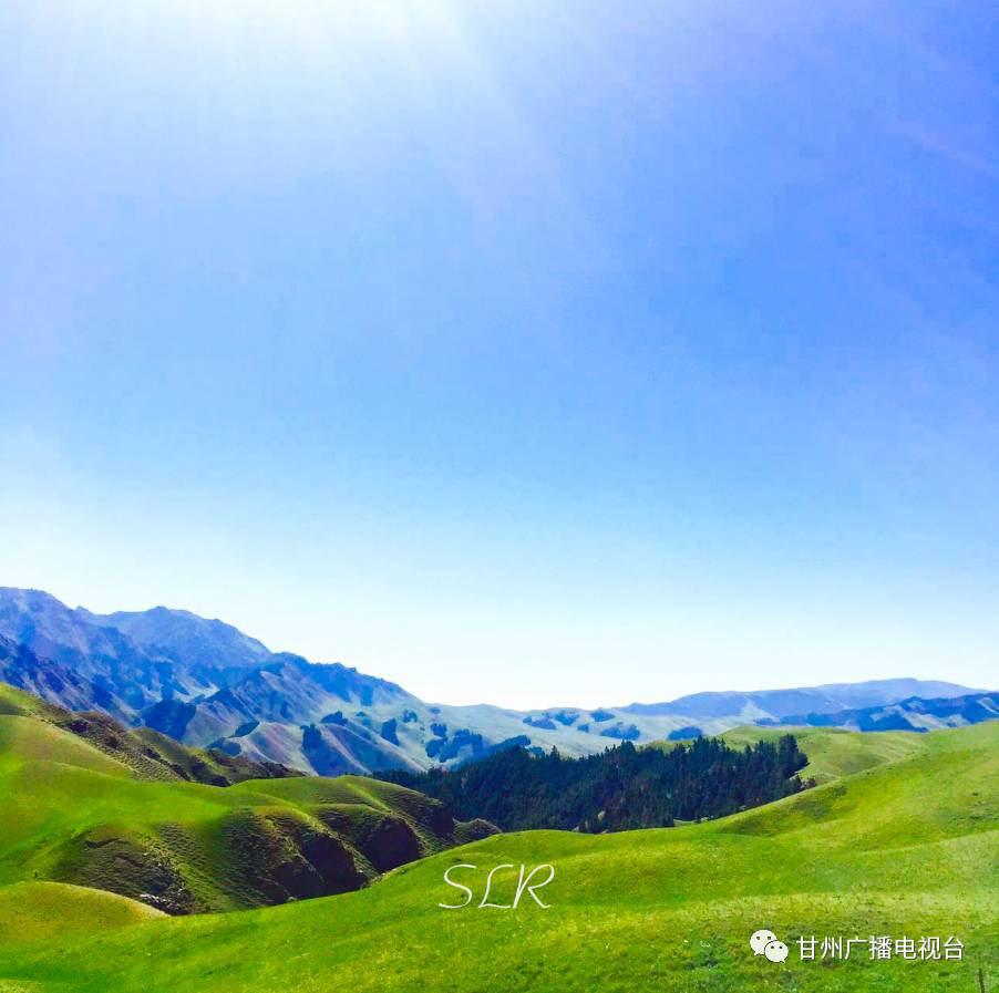 「美文」新“甘州八景”之六康乐牧歌