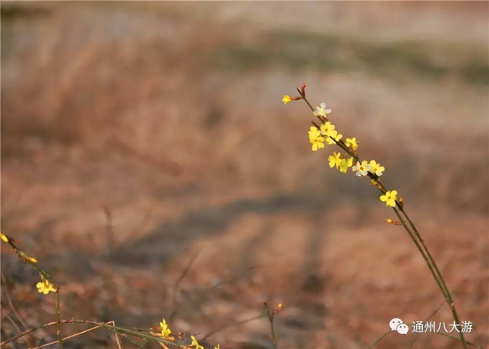 小小的世界大大的你免费观看,小小的世界大大的快乐