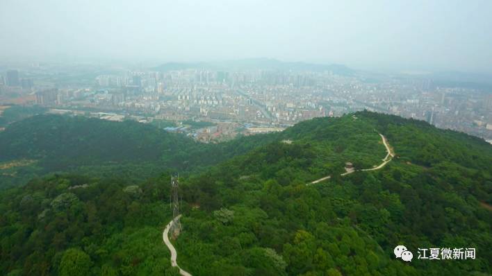 江夏有哪些地方,江夏是今天的什么地方