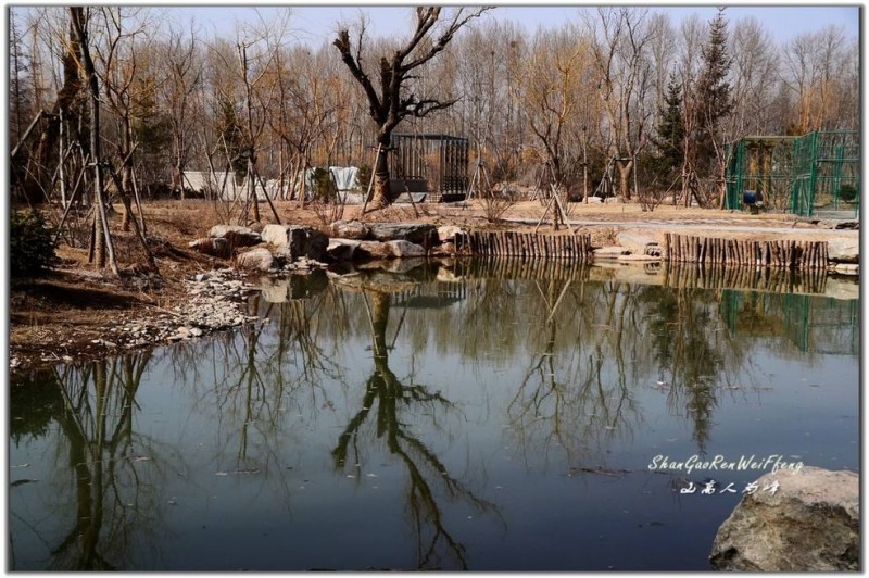 青海一年四季的变化,青海的冬天是什么样的