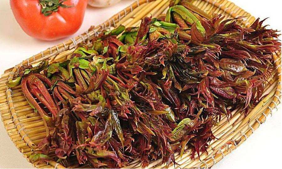 春分到蛋儿俏儿歌完整版跟唱,春分到蛋儿俏竖起鸡蛋多奇妙