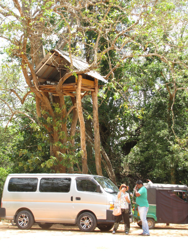 斯里兰卡旅游攻略,斯里兰卡旅游攻略是什么