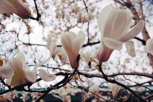 沈阳市大事件,沈阳大事件历史