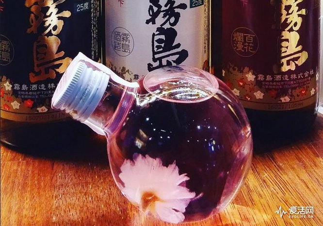 春日暖阳户外用品,春日家居小物件