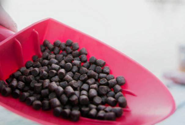 投入超4500万！这家跨国集团研发循环水养殖专用料，而且要做到替代鱼粉！