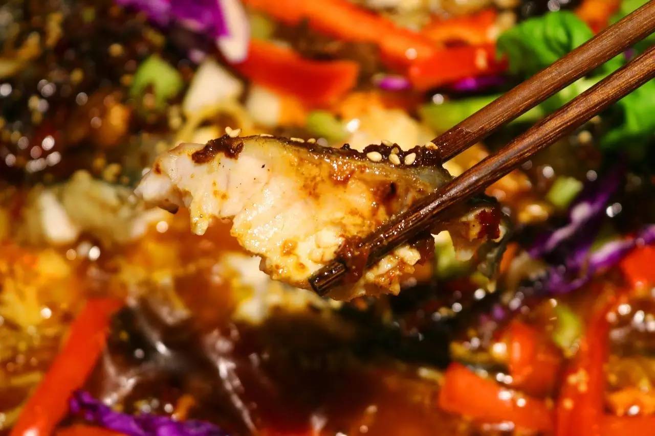 听说你在青岛五行缺鱼，八字欠烤？快来这家店就对了！