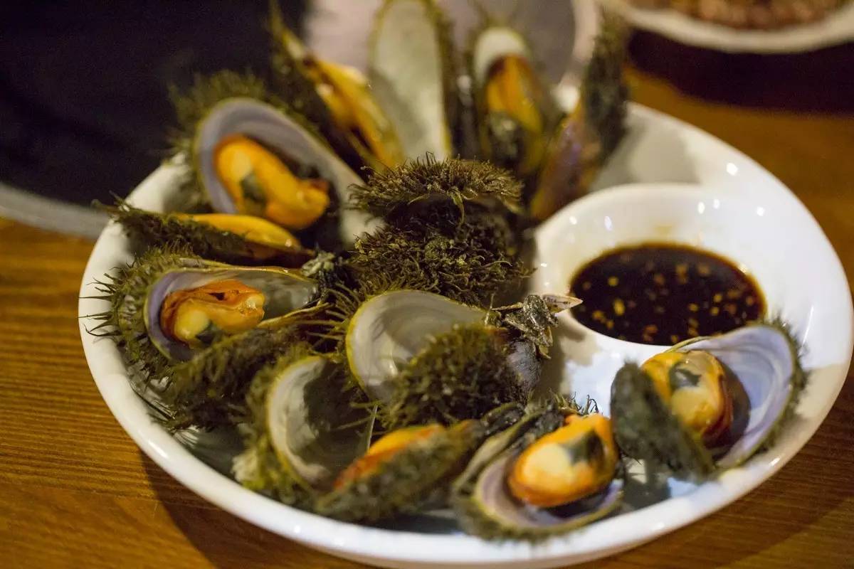 大连海洋馆搬运动物,大连海鲜搬运工