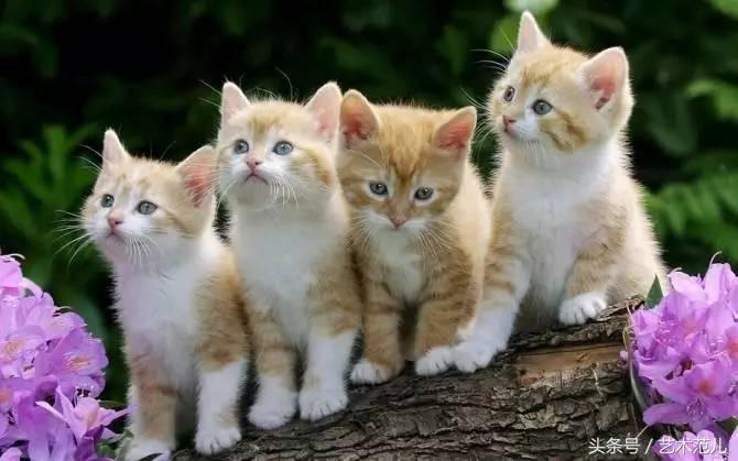 国足赢了教练反应,国足赢了教练的反应