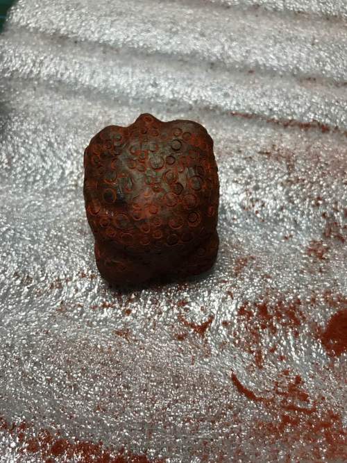 小叶紫檀木刻蟾蜍