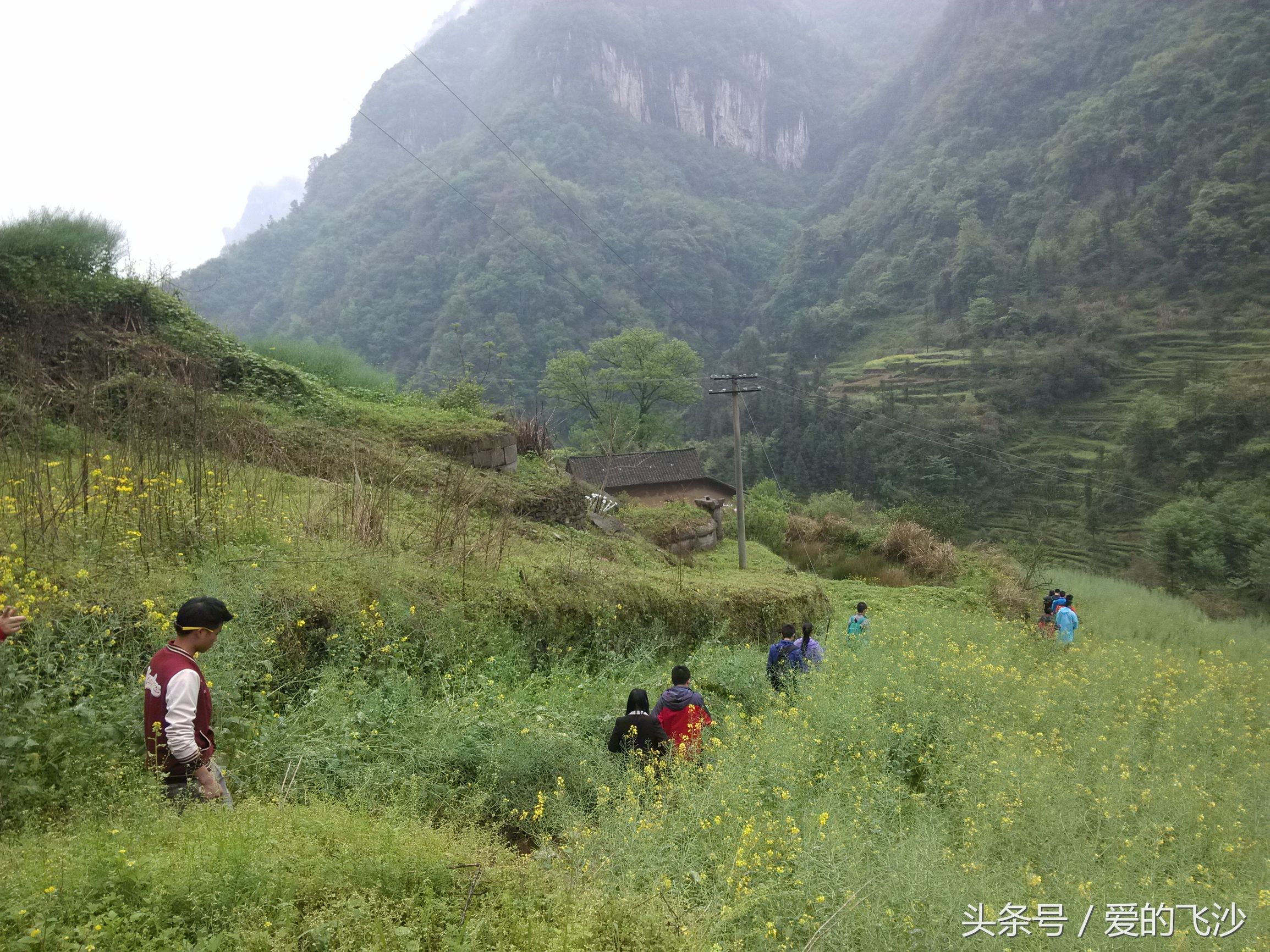 奇迹旅行南极新春之旅起航,奇迹旅行跨年夜