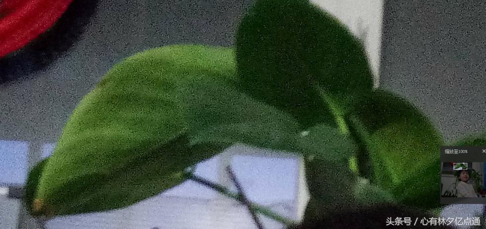 1600万全景摄像头,1600万前置摄像头好用吗